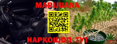крисы Ливны