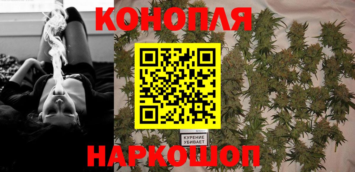 Бошки Шишки тримм  Вход с VPN  Каннабис White Widow  Калуга  Каннабис марихуана 